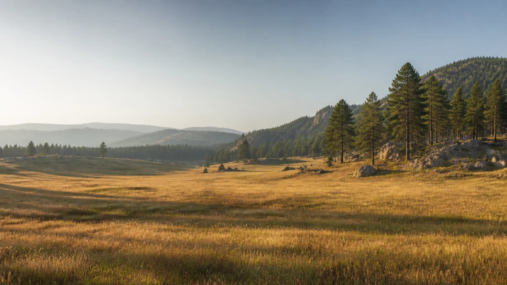Open grassland and ponderosa pine hills in western South Dakota